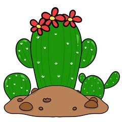 Green cactus with flowers growing on the ground