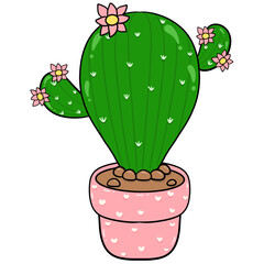 Cactus with flowers in a pink pot