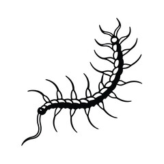 A Centipede Formed of Tangled Roots and Bone