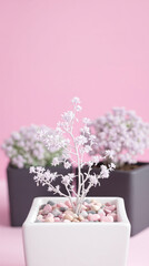 Obraz premium delicate white flowering plant in a pastel pink setting