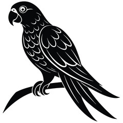  A parrot silhouette perched on a branch,