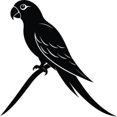 Obraz premium A parrot silhouette perched on a branch,