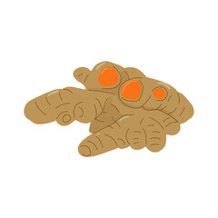 Indonesian Traditional Spice Elements Illustration