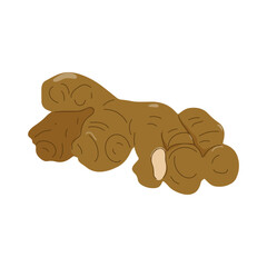 Indonesian Traditional Spice Elements Illustration