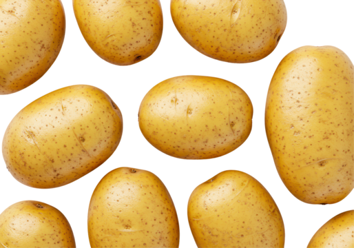 Fresh, round potatoes