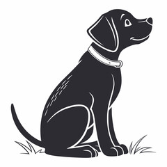 black and white beagle