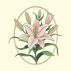 vector illustration of lily Intricate Lily Illustration with Buds and Leaves on Light Yellow Background - Elegant Botanical Art