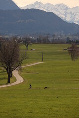 Obraz premium A man is riding a skateboard down a road in a grassy field