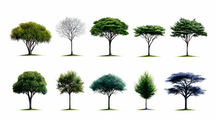 Collection of Diverse Trees Isolated on White Background
