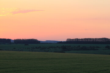 sunrise in the fields of southern Russia in midsummer