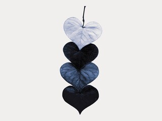 The white background in the picture is an illustration of four heart-shaped leaves in White and s White and black, , , . Four leaves are placed together and used as an illustration in various art.