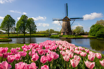 windmill and tulips