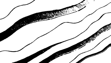 Black flowing wave lines on white transparent background. Vector black line art pattern drawing white background. Black lines create a flowing wave pattern on a white background.