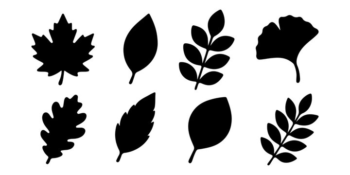 Set of black leaf silhouettes in different botanical shapes, ideal for nature designs, eco themes, and seasonal illustrations. Vector illustration