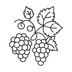 grapevine icon, grapevine line art - simple line art of grapevine, perfect for grapevine logos and icons