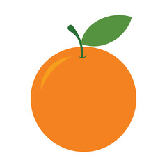 Orange Fruit Silhouette on White Background 