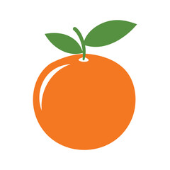 Orange Fruit Silhouette on White Background 