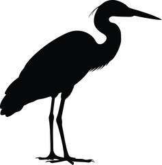Obraz premium Heron bird silhouette, heron bird, vector illustration,black silhouette 