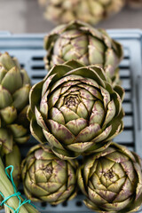 Obraz premium close-up of fresh green and purple artichokes