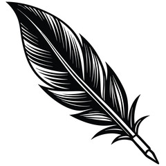 Obraz premium Elegant Black and White Feather Illustrations, Hand-Drawn Feather Designs in Black and White, Stylized Feather Clipart Collection.