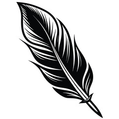 Obraz premium Elegant Black and White Feather Illustrations, Hand-Drawn Feather Designs in Black and White, Stylized Feather Clipart Collection.