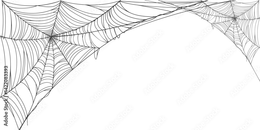 Sticker spider web line art vector frame