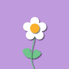 daisy flower vector illustration
