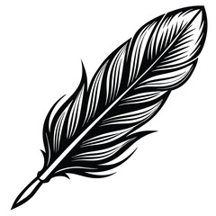 Obraz premium Elegant Black and White Feather Illustrations, Hand-Drawn Feather Designs in Black and White, Stylized Feather Clipart Collection.
