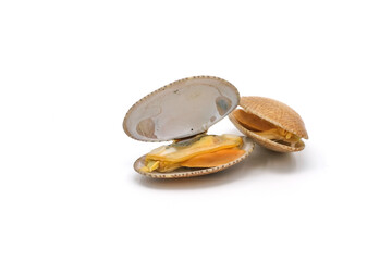 Closed up fresh baby clams. venus shell. shellfish. carpet clams. short necked clams. as raw food from the sea are the seafood ingredients. fresh clams Background.