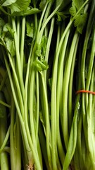 Fototapeta premium Fresh vegetables for cooking. Vegetables contain dietary fiber that helps cleanse the intestines.