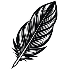 Obraz premium Elegant Black and White Feather Illustrations, Hand-Drawn Feather Designs in Black and White, Stylized Feather Clipart Collection.