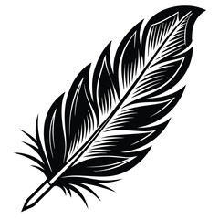 Obraz premium Elegant Black and White Feather Illustrations, Hand-Drawn Feather Designs in Black and White, Stylized Feather Clipart Collection.