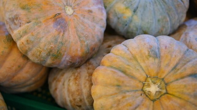 Close-up of Rustic, Pale Orange Pumpkins with Varied Textures