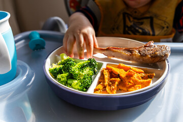 Child's Meal With Vegetables, Meat, and Divided Plate on Highchair