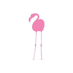 Flamingo silhouette icon. Exotic bird