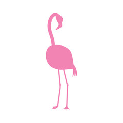 Flamingo silhouette icon. Exotic bird