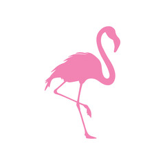 Flamingo silhouette icon. Exotic bird