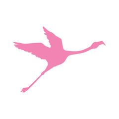 Flamingo silhouette icon. Exotic bird