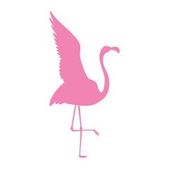Flamingo silhouette icon. Exotic bird