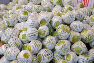 Guava Harvest: Net-Wrapped Green Fruits in Bulk