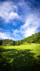 Scenic Landscape of Green Grass and Blue Sky