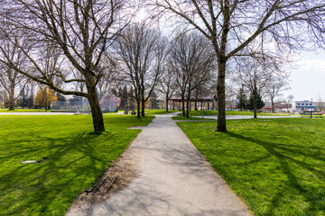Walking Path Surrounded by Trees in Downtown Vancouver, BC, Canada Park