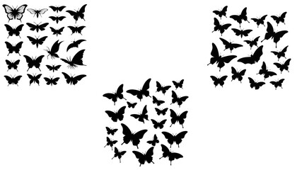 Naklejka premium Vector illustration of butterfly on white background. There are two versions, black shape and black and white.Outline of butterfly, Double-branded Crow Butterfly (Euploea sylvester harrisii)