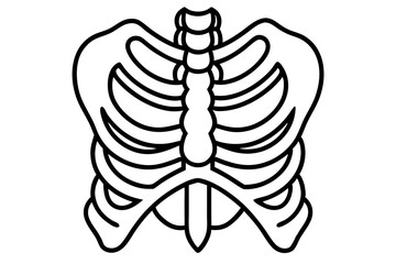 X Ray Image Line Art Vector Illustration