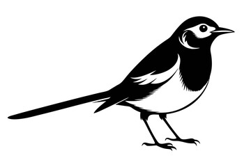 Wagtail silhouette black vector