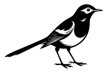 Wagtail silhouette black vector