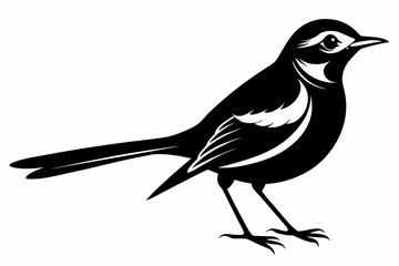 Wagtail silhouette black vector