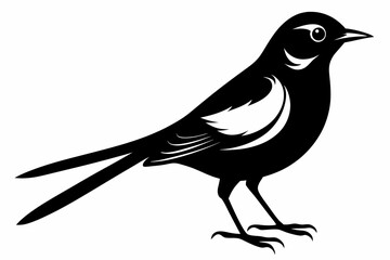 Wagtail silhouette black vector