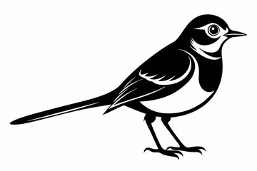 Wagtail silhouette black vector