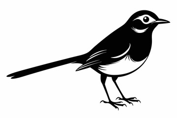 Wagtail silhouette black vector